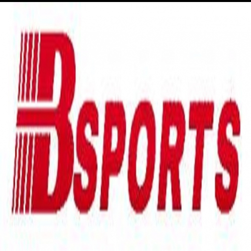 Bsports Wiki Online Presentations Channel