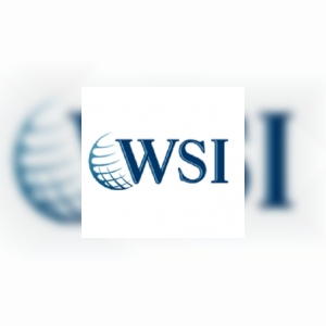 wsifranchisereview